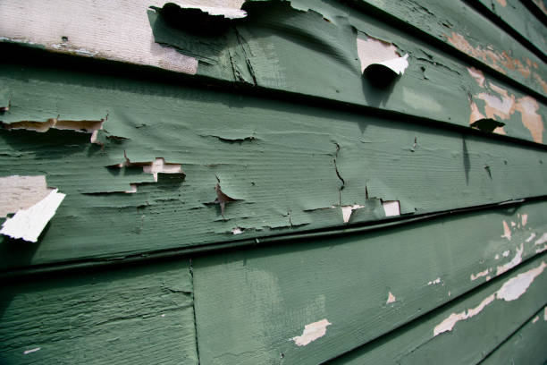 Junk Removal for Events in Fort Myers Shores, FL